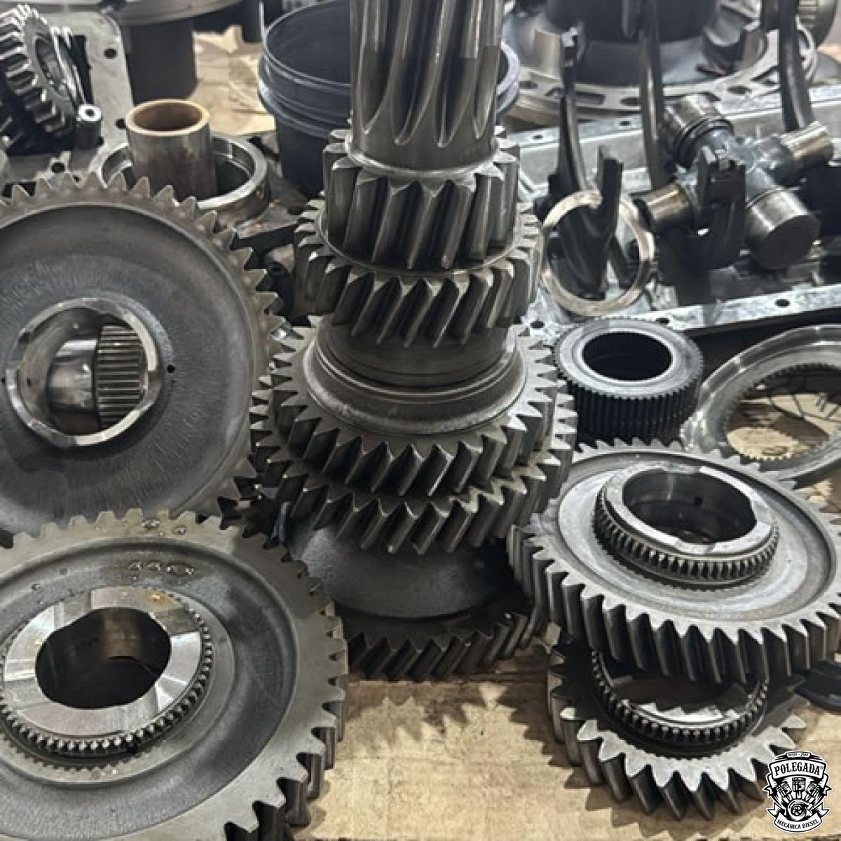 Reforma de Caixa de Câmbio